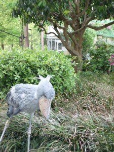 20150428_160437
