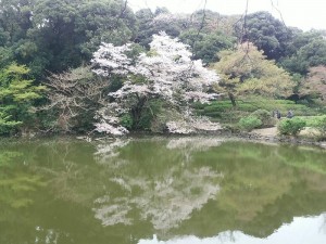20170410_01